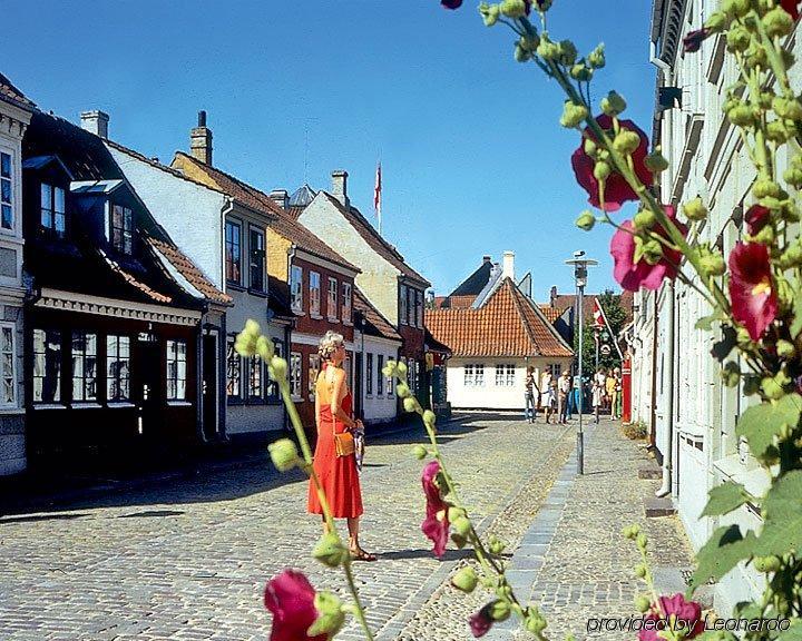 Hotel Naesbylund Kro Odense Servis gambar